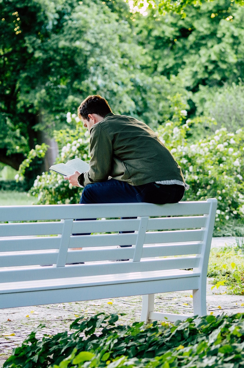 man, read, a book, relaxation, recreation, deepened, park, park bench
